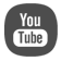 Yt